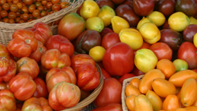 Tomatos-on-a-table Tomatoes Galore
