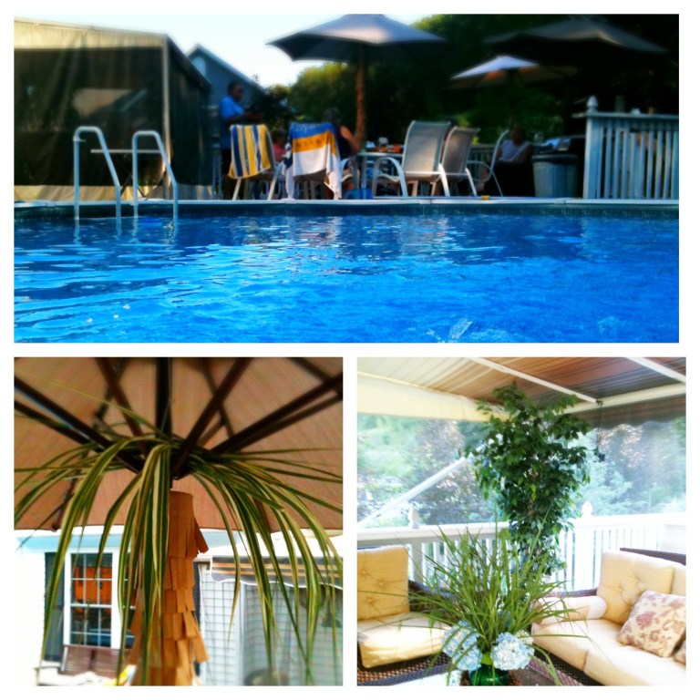 Summertime - Pool - Palm Tree - Patio