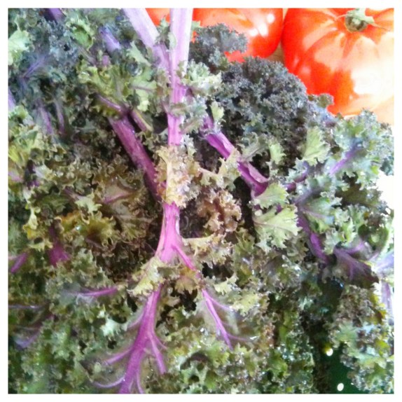 Fresh Red Kale
