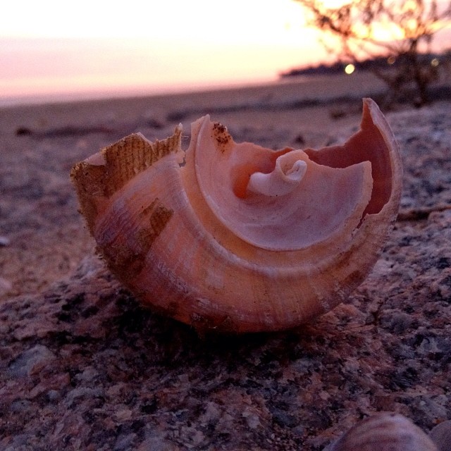 1538347_213824565473126_1594411093_n