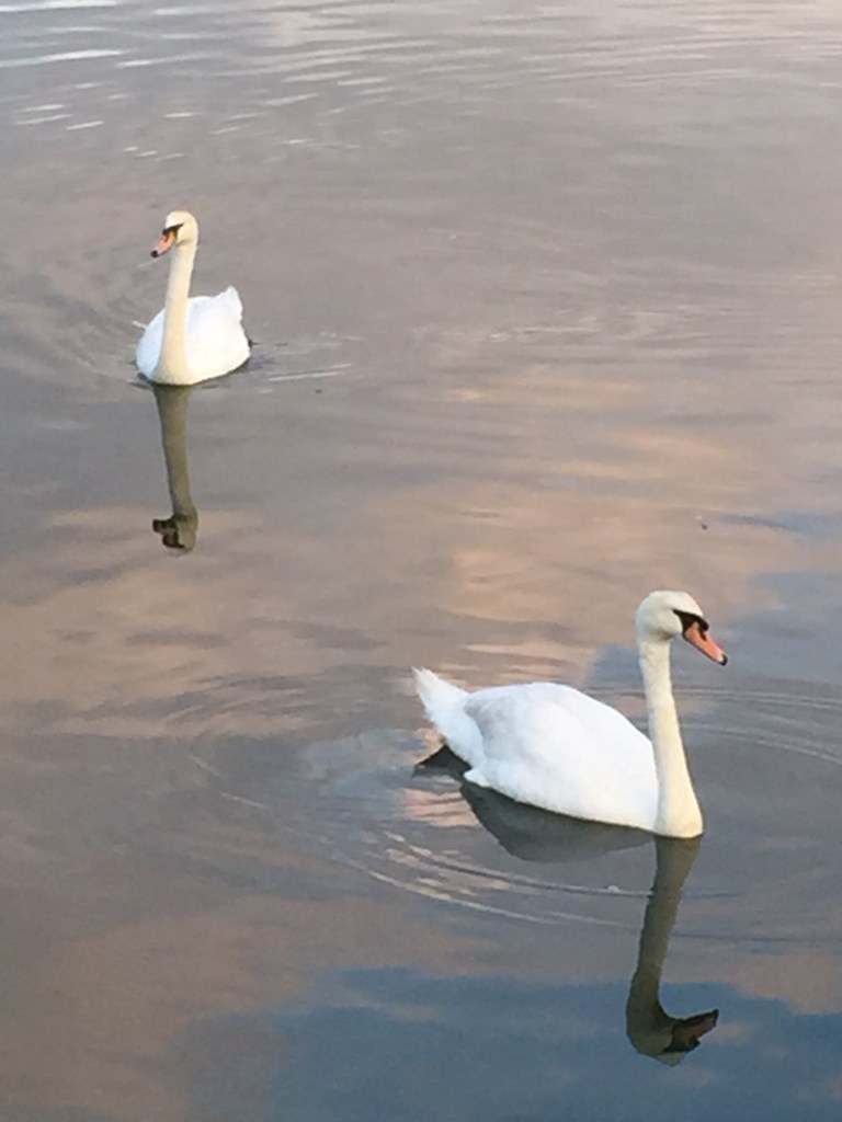 BrucePark, Greenwich, CT